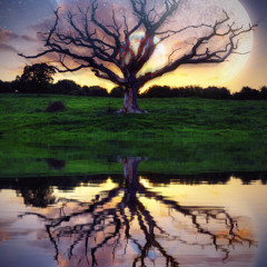 DEL CIELO AL INFIERNO (studio)Ft. Alejandra