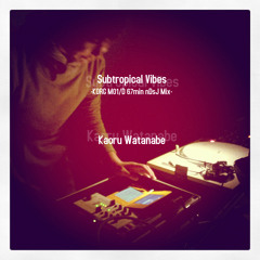 Subtropical Vibes - KORG M01/D 67min nDsJ Mix -