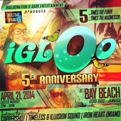 COPPER SHOT TIMELESS N ILLUSION SOUND@IIGLOO OCHO RIOS APRIL 2014