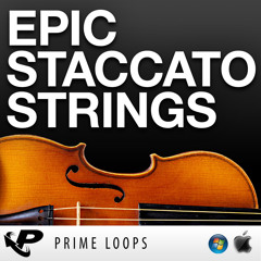 Epic Staccato Strings [Sample Pack DEMO]