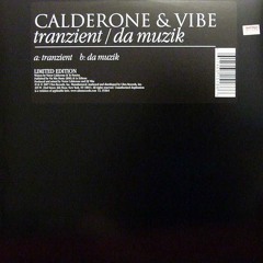 Calderone & Vibe - Tranzient (2006)