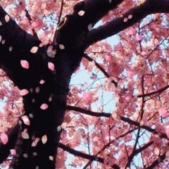 (D'Jackal) - LETS TRY AGAIN