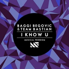 Baggi Begovic vs Congorock - I Know U Seth (Mashup)