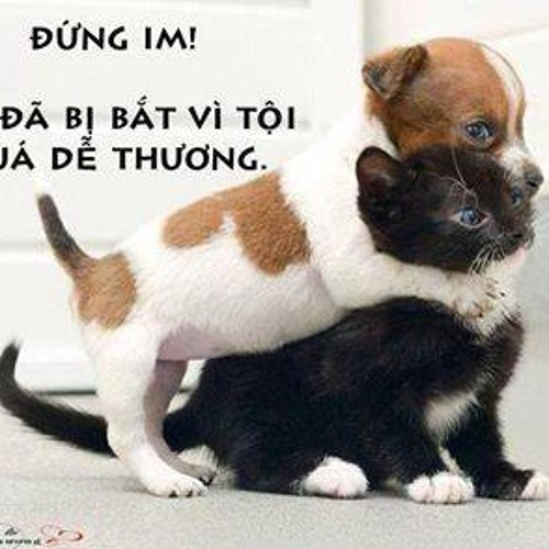 Nắm Lấy Tay Anh - Tuấn Hưng