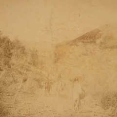 My Enemies Good White Horse, Live Bologna 5.4. 2014.mp3