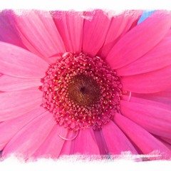 Em tudo que é belo - Música de Jorge Vercilo