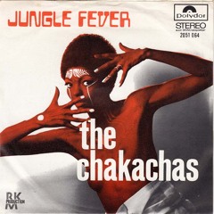 The Chakachas - Jungle Fever (RICH TEA re-edit)