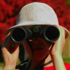 Agony of victory ~ Suburban Haiku