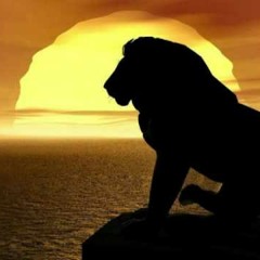 Mc Warrior -Solo Busco Paz