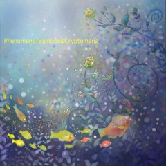 Phenomena_Crossfade