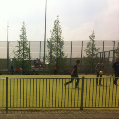 Public Sports Fields In Schiehaven (Rotterdam April 23rd 2014)