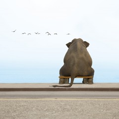 thick skin