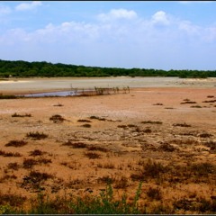 Romance for violin and strings