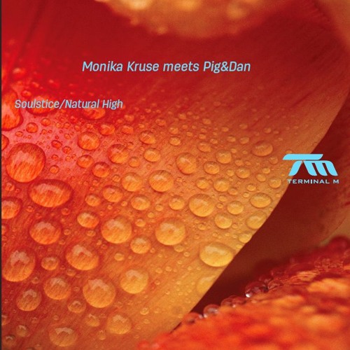 Monika Kruse Meets Pig&Dan - Natural High