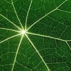 Different Ways (modified)