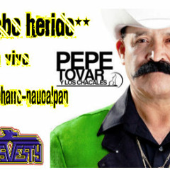 PEPE TOVAR--LOBO HERIDO---EN VIVO--LIENZO CHARRO NAUCALPAN