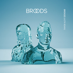BROODS - Bridges (ASTR Remix)