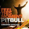 Pitbull ft Christina Aguilera - Feel This Moment (Ricardo Martins Bootleg)
