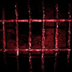 Prison Bars Of Discipline