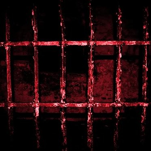 Prison Bars Of Discipline