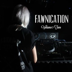 Fawnication Compilation Vol. II
