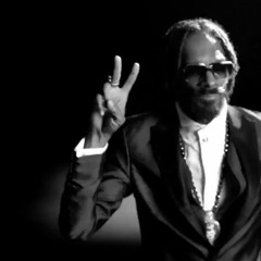 No Guns Allowed - Snoop Lion