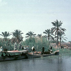 طالب القرغولي ـ  ياحبيبي