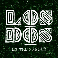 One String Boogie – Los Dos «In the Jungle»