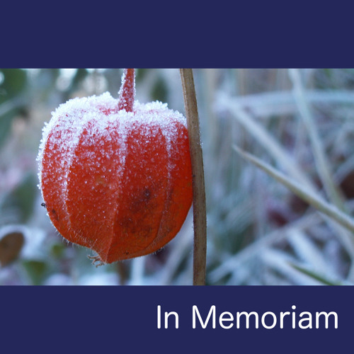 In Memoriam (Temporary Milestone Post)