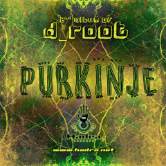 D_Root | New Album "Purkinje" | 3-Tekita | Out on Hadra Records