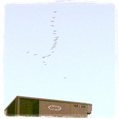 Reflections Feat. A1ne & Phil A (Fuggin A)