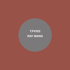 Ray Mang DJ Mix For Test Pressing