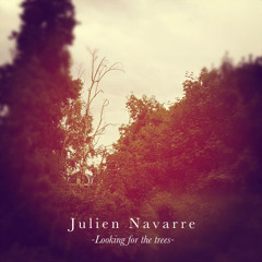 Looking For The Trees