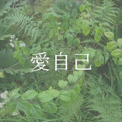 Imports [ Prod. AYY$TEVEN ]