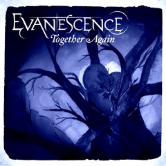 Evanescence - Together Again (Remix)