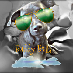 BuddyBalls