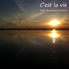 c est la vie (mix 04 2014)