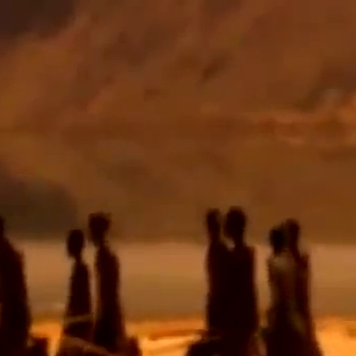 Indigenous Walk