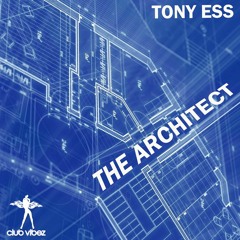 Tony Ess - The Architect (DJ MW; Remix) [Club Vibez Records 21.04.2014]