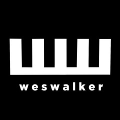 Wes Walker - FVCK THE$E HOE$ (Original Mix) [VIP CLUB DUB]