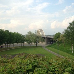 De Tamme Herders - In de noise geverfd