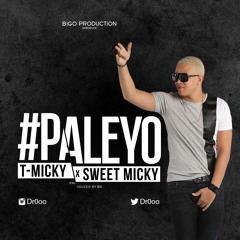 T-MICKY - Pale Yo (2014 single)