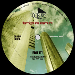 Tripmann - Shadow Dancing (Original Mix)[SoulBuilding]