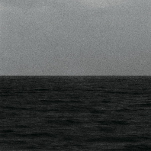 비웃어주오