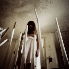 stripes.feathers.fins.skins