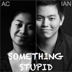 Something Stupid