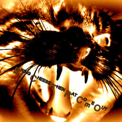 Bring Cheese Then Rat Come Out (Striptease Riddim)