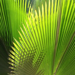 What To Do-Amen'Auset