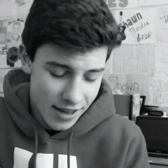 Shawn Mendes as long as you love me
