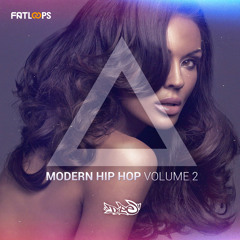Modern Hip Hop Vol.2 - Demo 02 (Hip Hop Construction Kits)